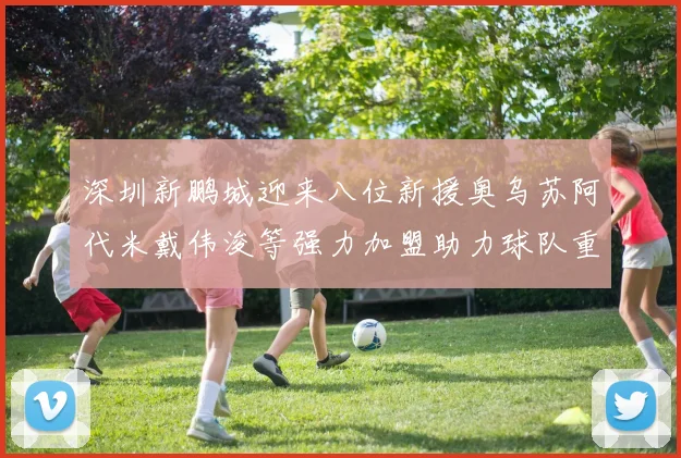 深圳新鹏城迎来八位新援奥乌苏阿代米戴伟浚等强力加盟助力球队重塑辉煌