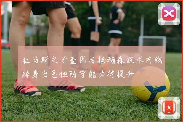 杜马斯之子奎因与杨瀚森技术内线转身出色但防守能力待提升