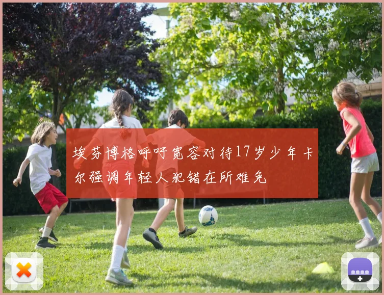 埃芬博格呼吁宽容对待17岁少年卡尔强调年轻人犯错在所难免