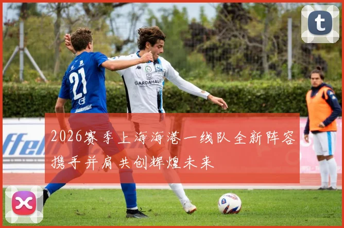 2026赛季上海海港一线队全新阵容携手并肩共创辉煌未来