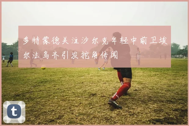 多特蒙德关注沙尔克年轻中前卫埃尔法乌齐引发挖角传闻