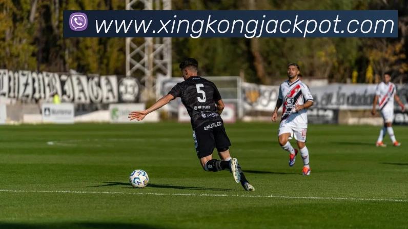 星空体育平台生态图