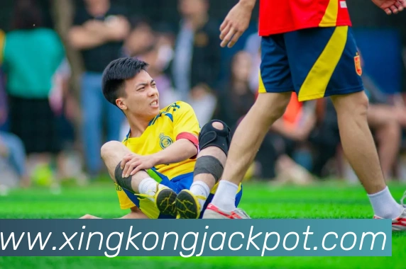 星空体育APP 封面图